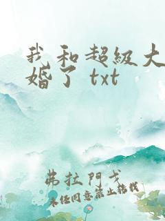 我和超级大佬隐婚了 txt