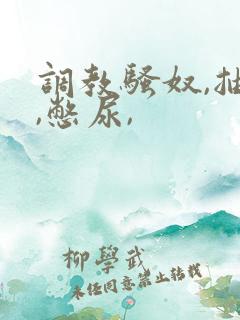 调教骚奴,抽b,憋尿,