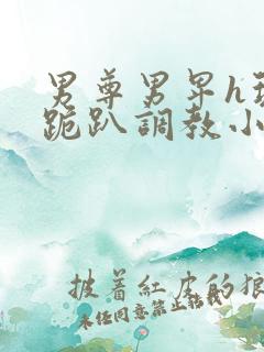 男尊男卑h玩弄跪趴调教小说