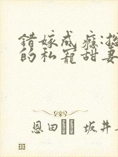 错嫁成瘾:总裁的私宠甜妻