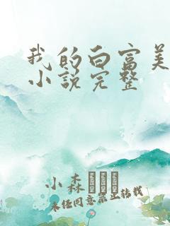 我的白富美老婆小说完整