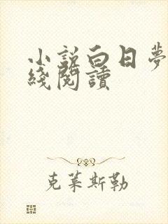 小说白日梦我在线阅读