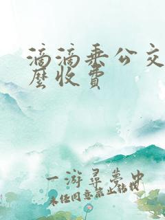 滴滴乘公交车怎么收费