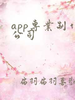 app专业制作公司