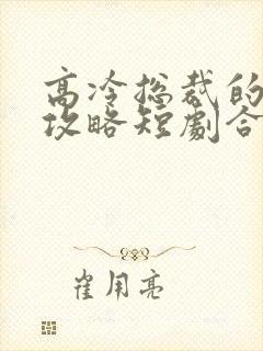 高冷总裁的追妻攻略短剧合集