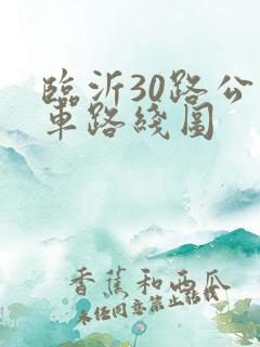临沂30路公交车路线图