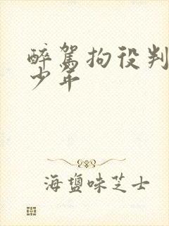 醉驾拘役判刑多少年
