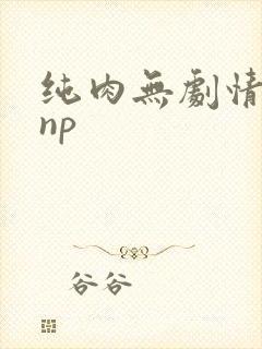 纯肉无剧情高hnp