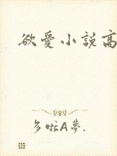 欲爱小说高,h