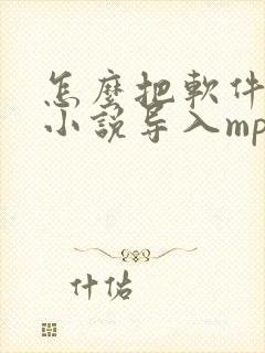 怎么把软件里的小说导入mp4