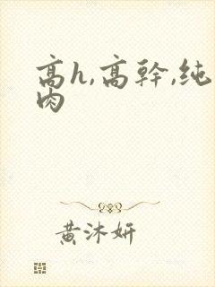高h,高干,纯肉