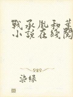 战承胤和叶苜苜小说在线阅读