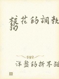 校花的调教小母狗