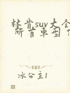 林肯suv大全 所有车型 价格 报价相片