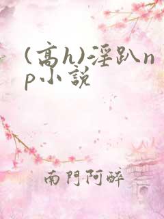(高h)淫趴np小说
