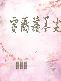 雨落若了小说免费阅读全文最新章节