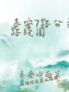 泰安7路公交车路线图