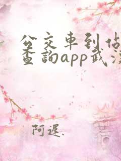 公交车到站实时查询app武汉