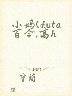 小妈(futa百合,高h