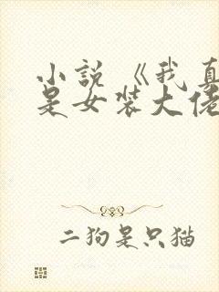 小说 《我真不是女装大佬》