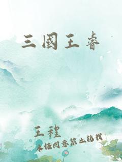 三国王睿