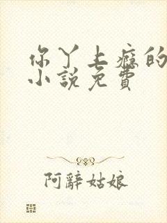 你丫上瘾的原著小说免费