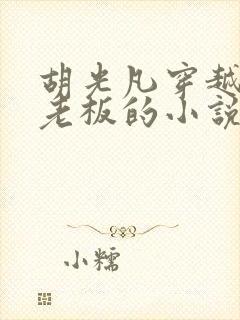 胡光凡穿越成小老板的小说免费阅读