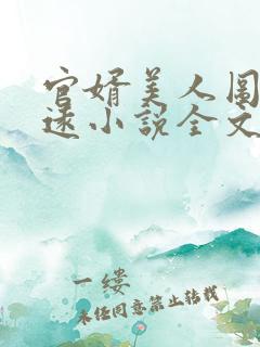 官婿美人图陈志远小说全文免费阅读