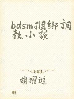bdsm捆绑调教小说