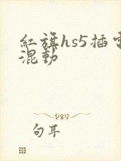 红旗hs5插电混动