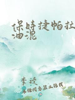 保时捷帕拉梅拉油混