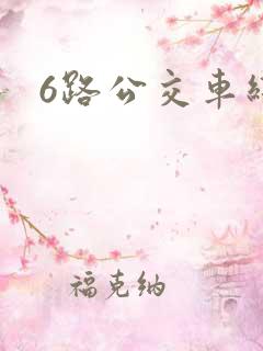 6路公交车线路