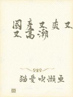 国产又爽又刺激又高潮