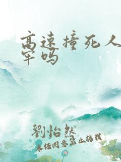 高速撞死人要坐牢吗