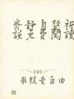 齐静月楚祈端小说免费阅读无弹窗