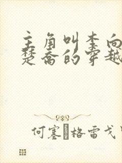 主角叫李向南林楚乔的穿越小说