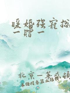 暖婚强宠总裁娶一赠一