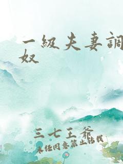 一级夫妻调教男奴