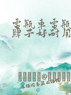 电瓶车电瓶哪个牌子好耐用蓄能强
