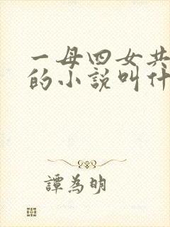 一母四女共一婿的小说叫什么