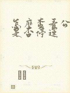 怎么查看公交车是否停运