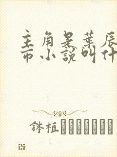 主角是叶辰的都市小说叫什么