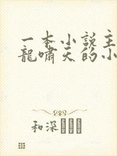 一本小说主角叫龙啸天的小说