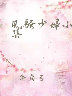 风骚少妇小说合集