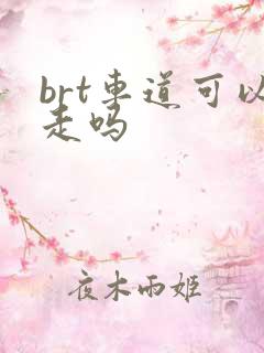 brt车道可以走吗