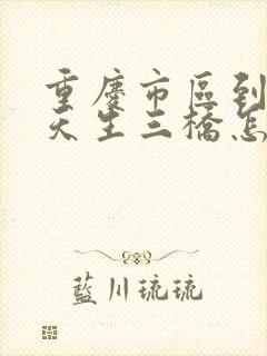 重庆市区到武隆天生三桥怎么去