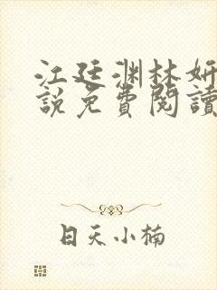 江廷渊林妍的小说免费阅读全文