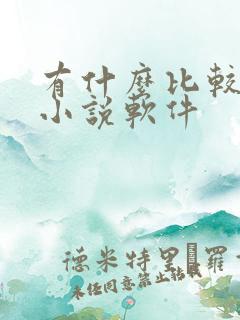 有什么比较好的小说软件