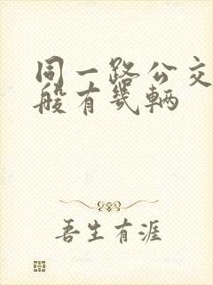 同一路公交车一般有几辆
