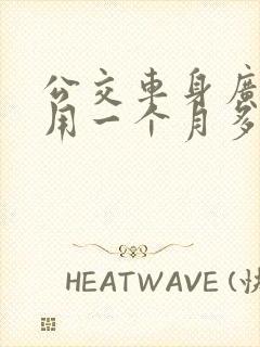 公交车身广告费用一个月多少钱